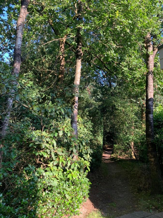 De Spitse Egel: Ontdek De Pareltjes In De Natuur! Отерло Екстериор снимка