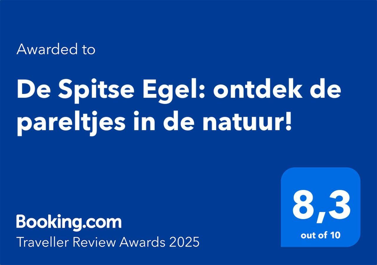 De Spitse Egel: Ontdek De Pareltjes In De Natuur! Отерло Екстериор снимка